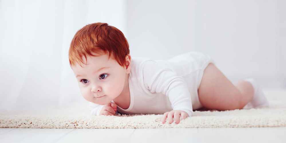 A Comprehensive Guide to the Health and Growth of 8-Month-Old Babies